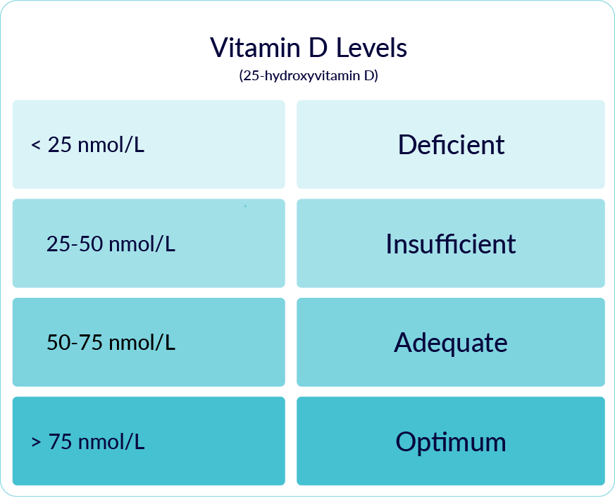 All about vitamin D Phlo Blog